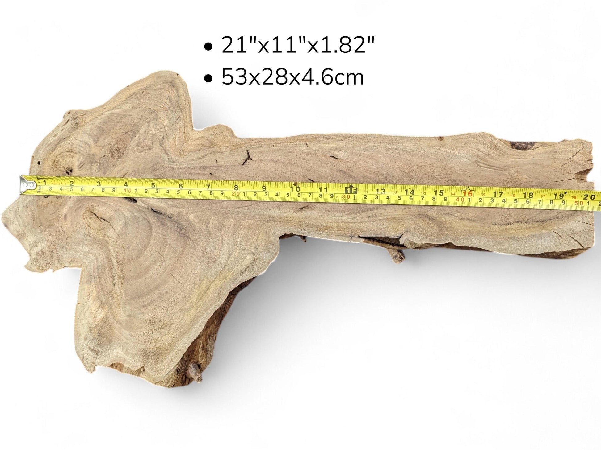 English walnut root slice, light brown with dark swirling grain. A yellow tape measure shows listed dimensions.