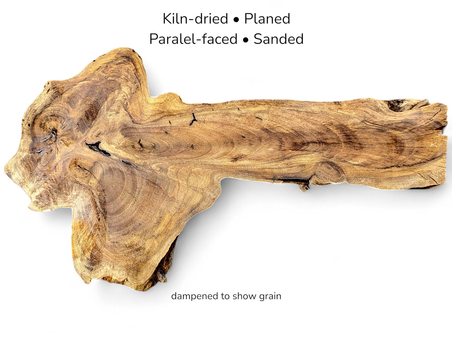 Elongated English walnut root slice with swirling grain patterns on white background, labeled with processing specifications.