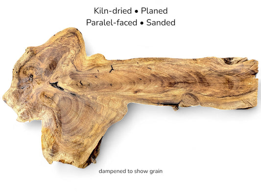 Elongated English walnut root slice with swirling grain patterns on white background, labeled with processing specifications.