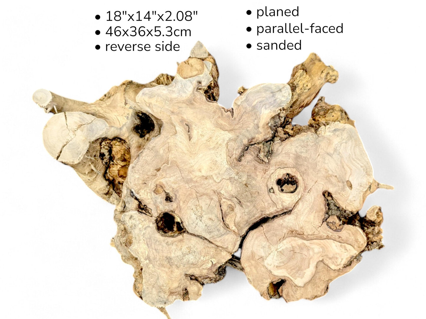 Textured beige root slice with visible voids, overlaid with text specifying dimensions, planing, and sanding.