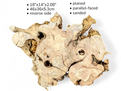 Textured beige root slice with visible voids, overlaid with text specifying dimensions, planing, and sanding.