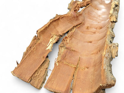 Untreated wood bark piece, curved, revealing a smooth reddish-brown interior and rugged gray-brown exterior.