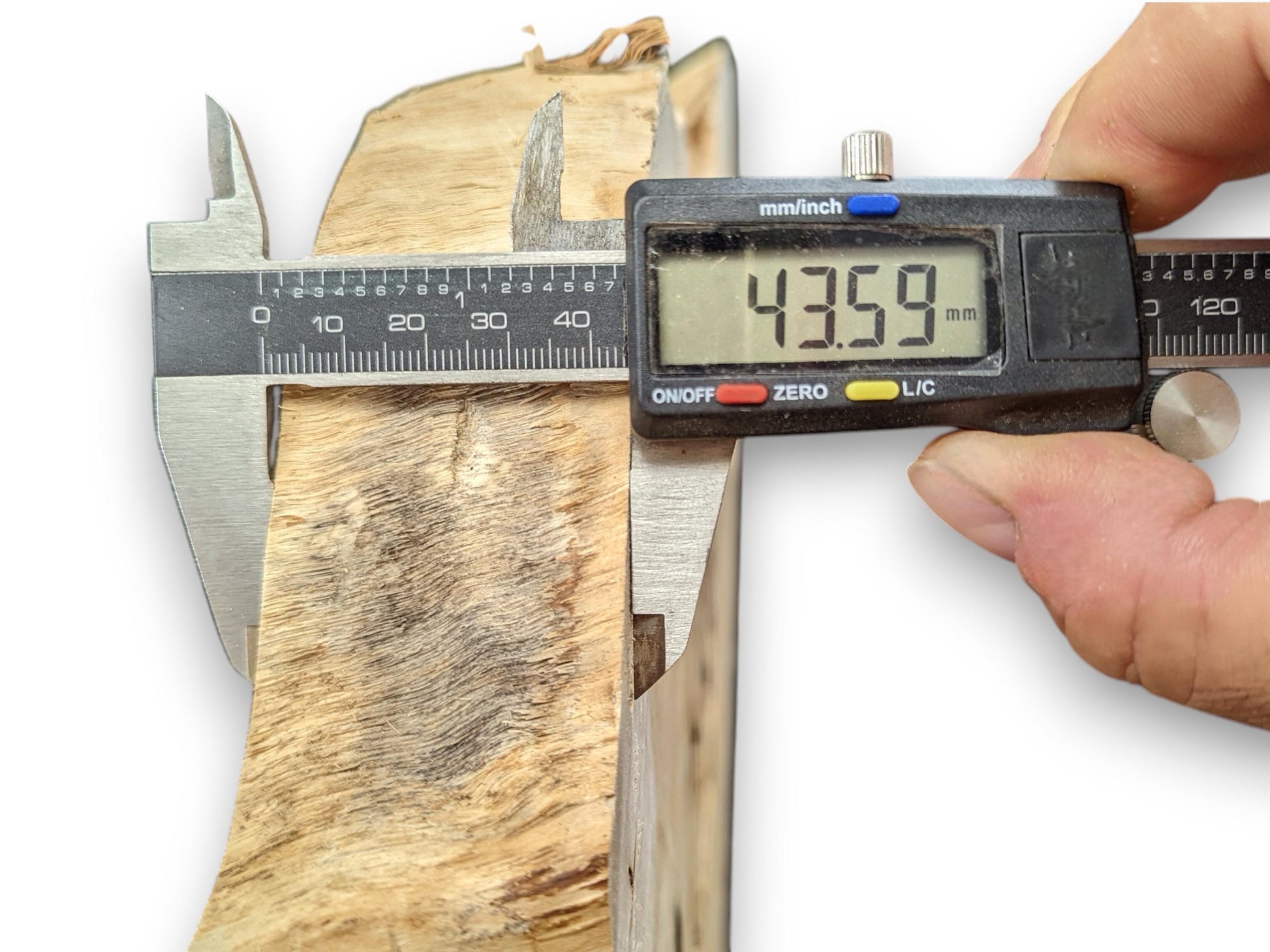 Hand holding a digital caliper measuring a light-colored wood slice with wavy grain, showing 43.59 mm.