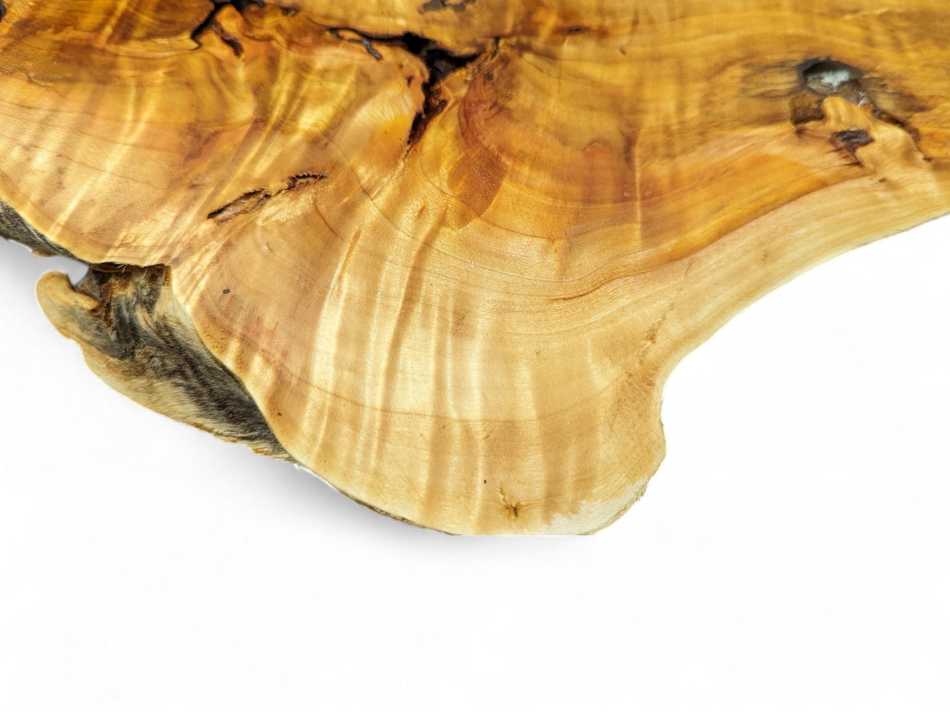 Close-up of a prepared, irregular golden-brown live edge wood slice, featuring wavy grain patterns and dark voids.