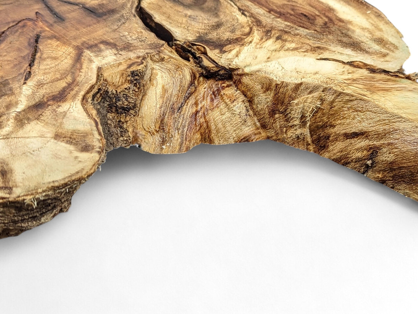 Live edge wood root slice displaying rich brown and tan grain patterns with natural cracks on white.