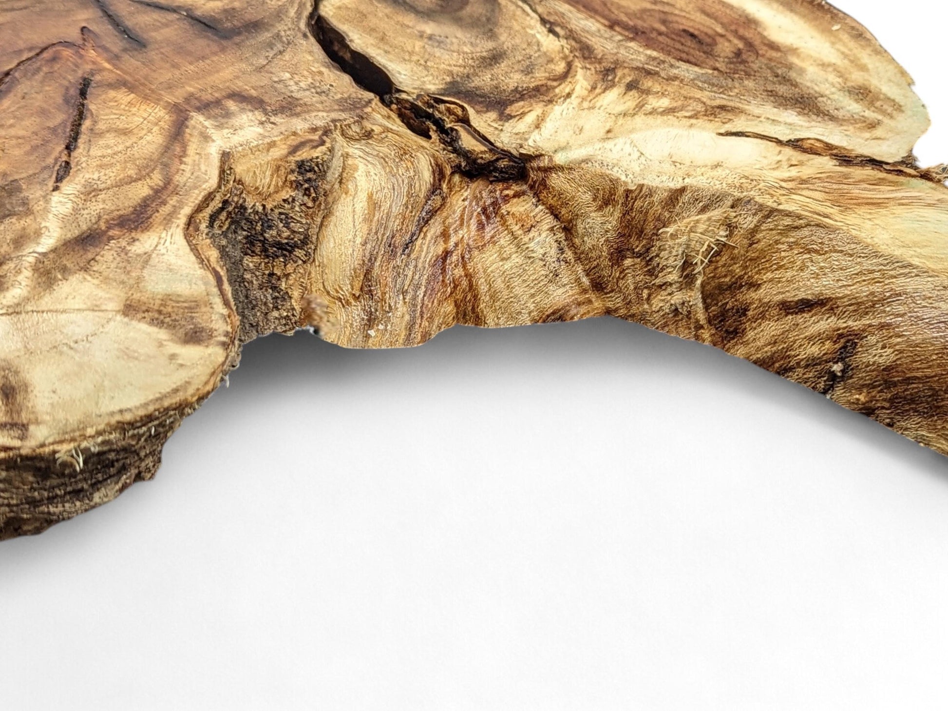 Live edge wood root slice displaying rich brown and tan grain patterns with natural cracks on white.