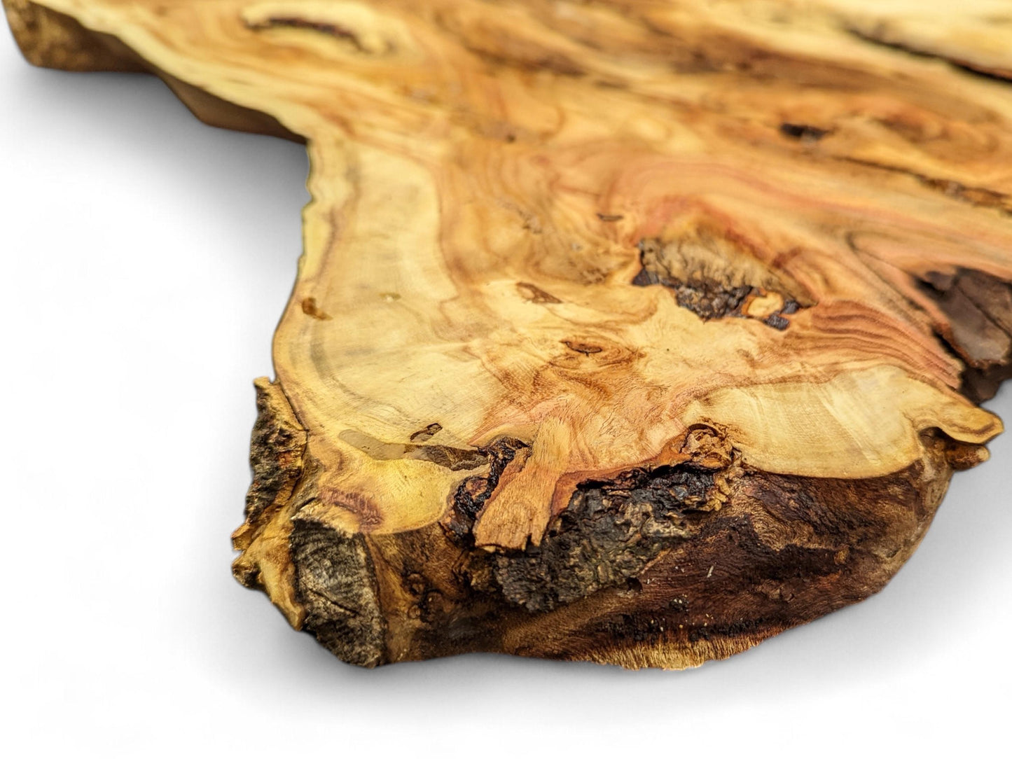 Angled view of a golden-brown honey locust root slice with irregular live edges, swirling grain, and natural knots.