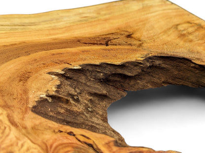 Golden-brown honey locust wood slice displays prominent swirling grain and a large, rough natural cavity.