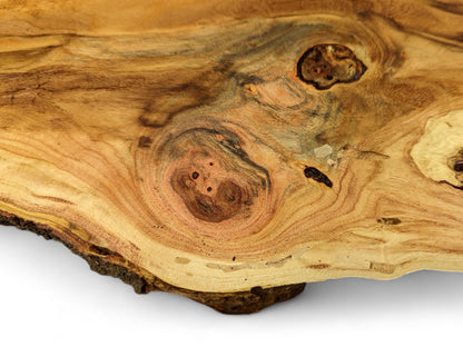 Close-up of a honey locust root slice, featuring golden-brown tones, prominent swirling grain, and natural knots.