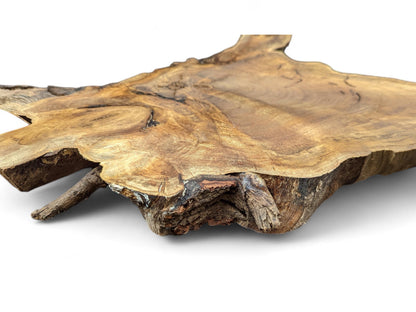 English walnut root wood slice, brown with lighter tones, showcases prominent grain and textured live edges.
