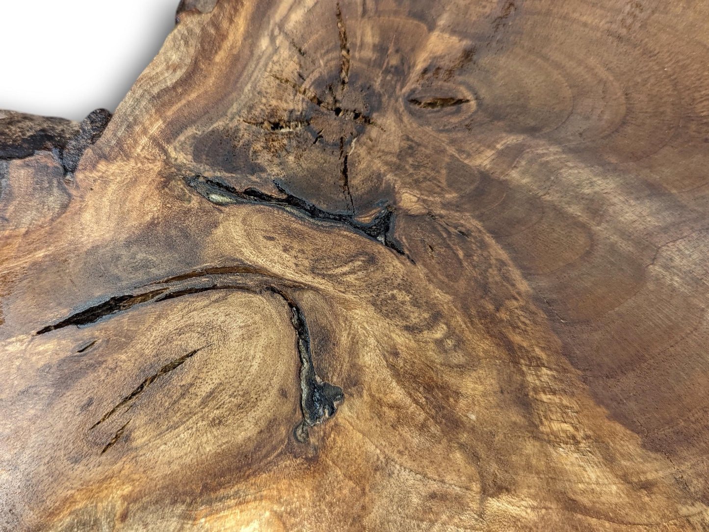 Close-up of a walnut wood slice showing rich brown tones, prominent grain, and natural dark crevices.