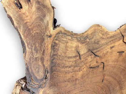 A close-up shows an irregularly shaped English walnut wood slice with brown grain and natural dark crevices.