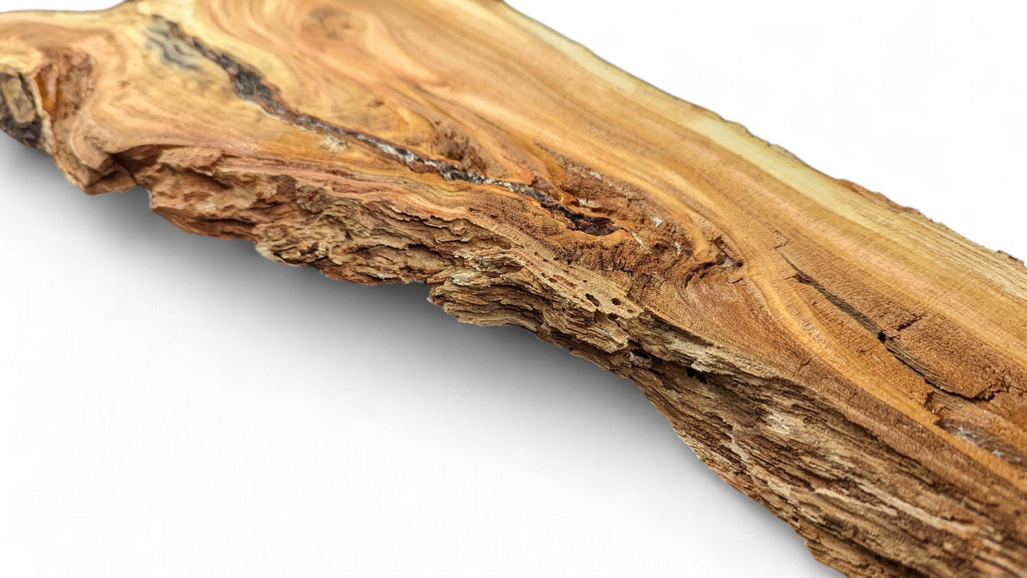 Golden-brown, irregularly shaped wood slice shows natural grain patterns, dark cracks, and rough, porous edges.