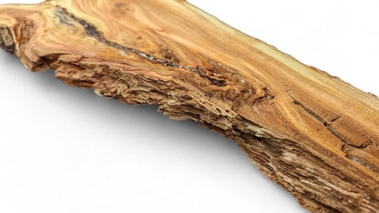 Golden-brown, irregularly shaped wood slice shows natural grain patterns, dark cracks, and rough, porous edges.
