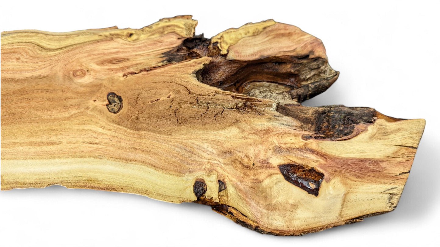 Wood slice with golden-brown tones, exhibiting natural grain, dark knots, rough textures, and an irregular live edge.