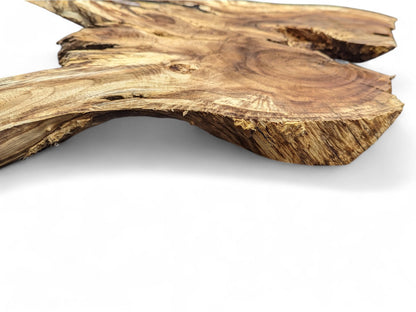 Brown wood root slice displays an irregular live edge, intricate grain, growth rings, and textured surface.