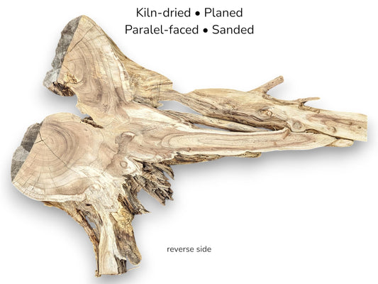 Irregular light wood slice displaying grain, with text Kiln-dried, Planed, Paralel-faced, Sanded, and reverse side label.
