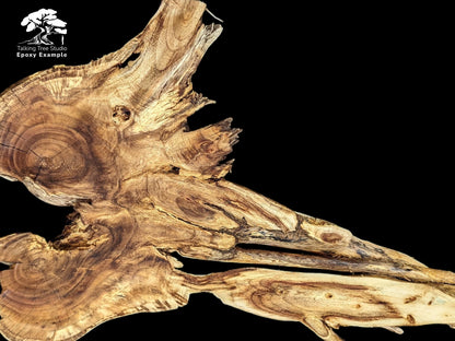 Irregularly shaped live edge wood root slice featuring light and dark brown grain and natural texture.