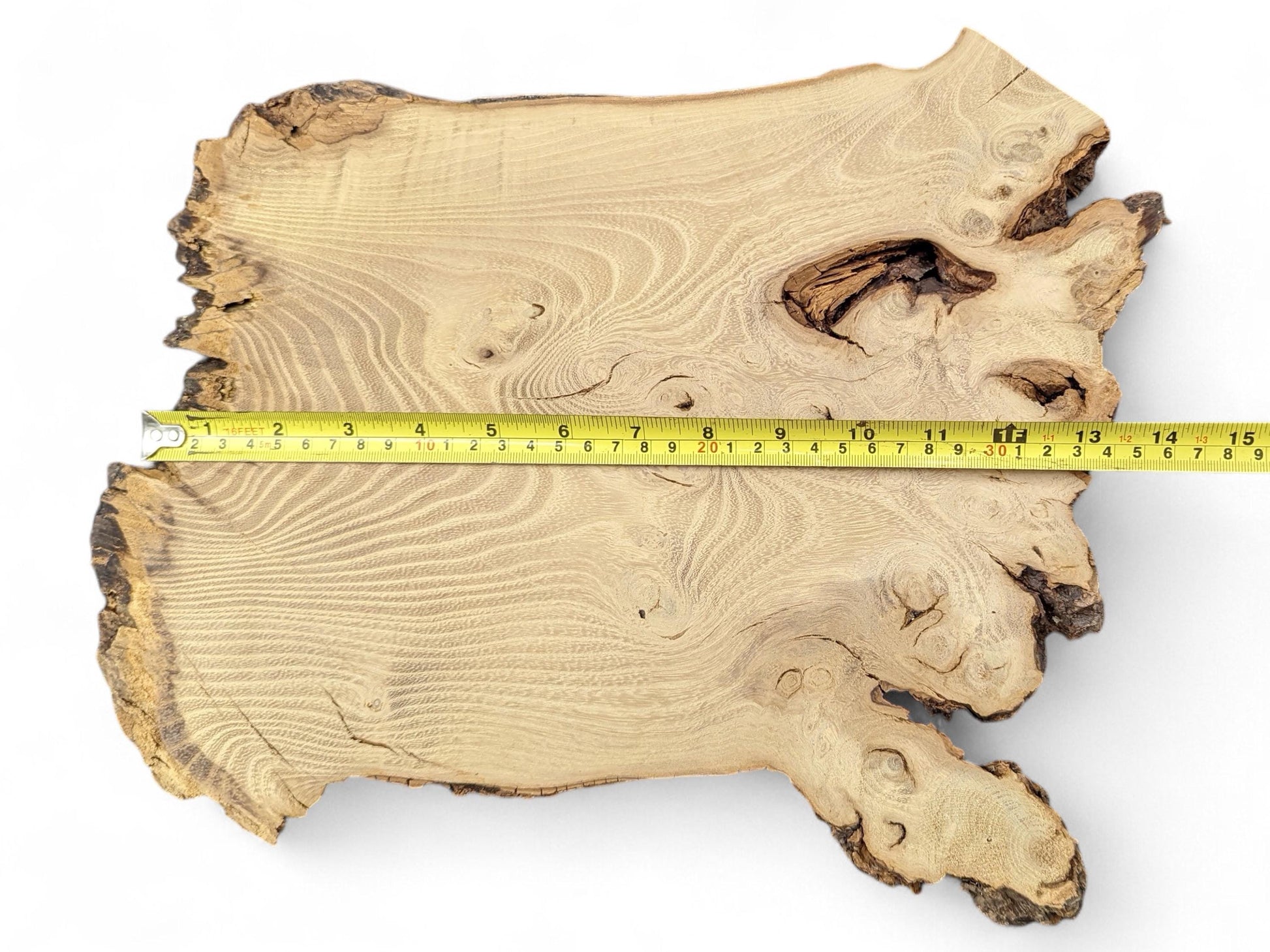 Irregular light brown wood slice showing swirling grain, burls, a void, and a measuring tape.