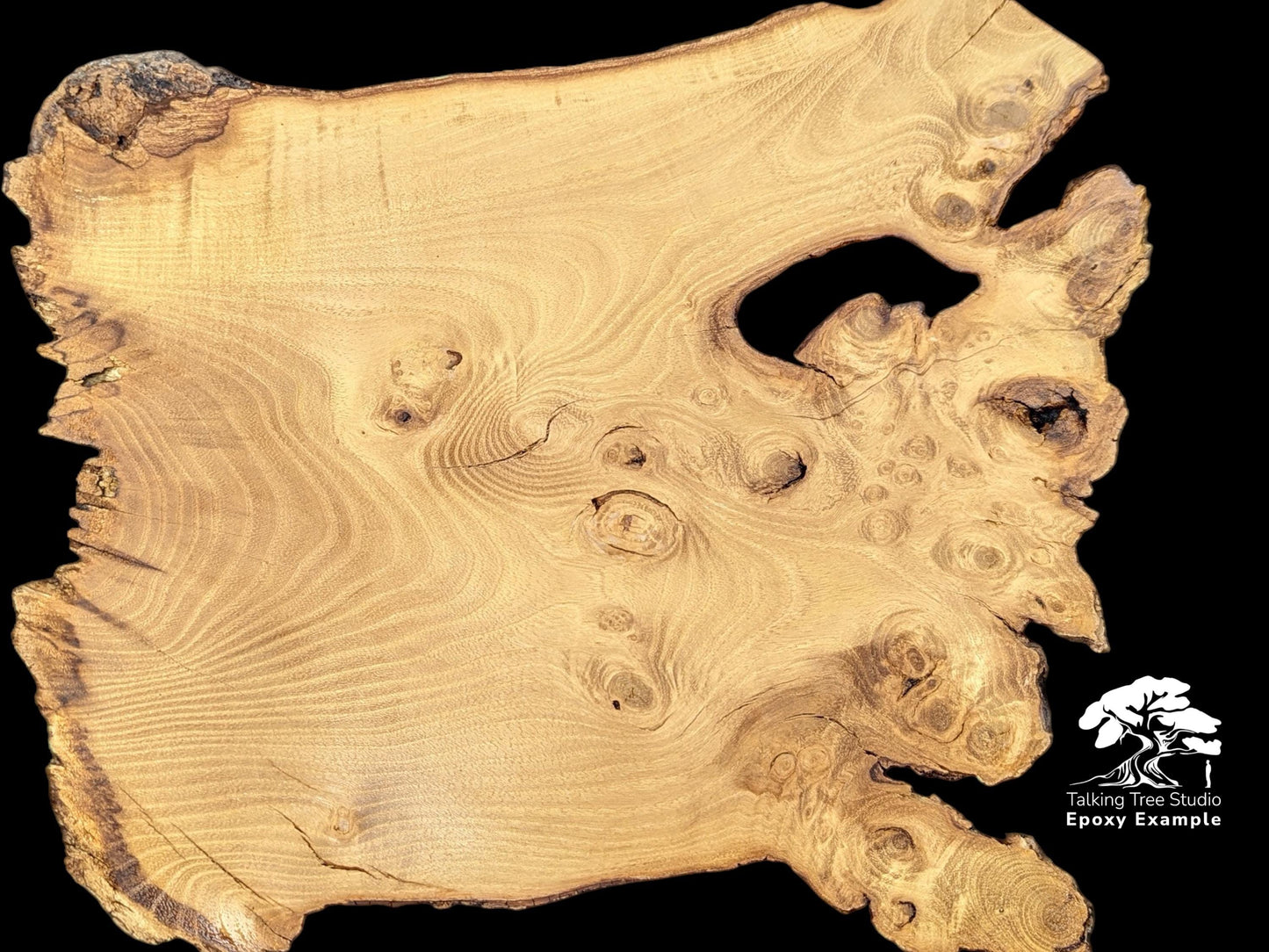 Light brown, irregular wood slice showing burls, knots, a large void, and 'Epoxy Example' text.