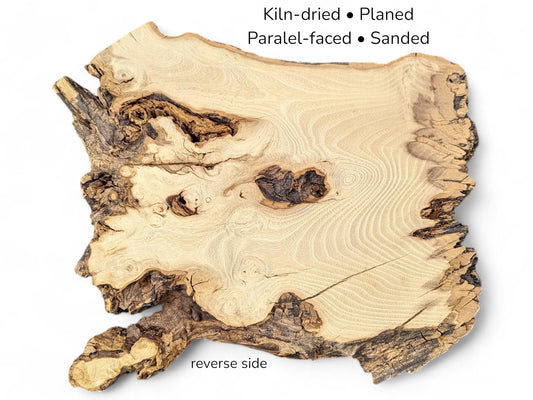 Irregular, light brown black locust wood slice with dark bark edge. Overlay text describes processing, 'reverse side'.