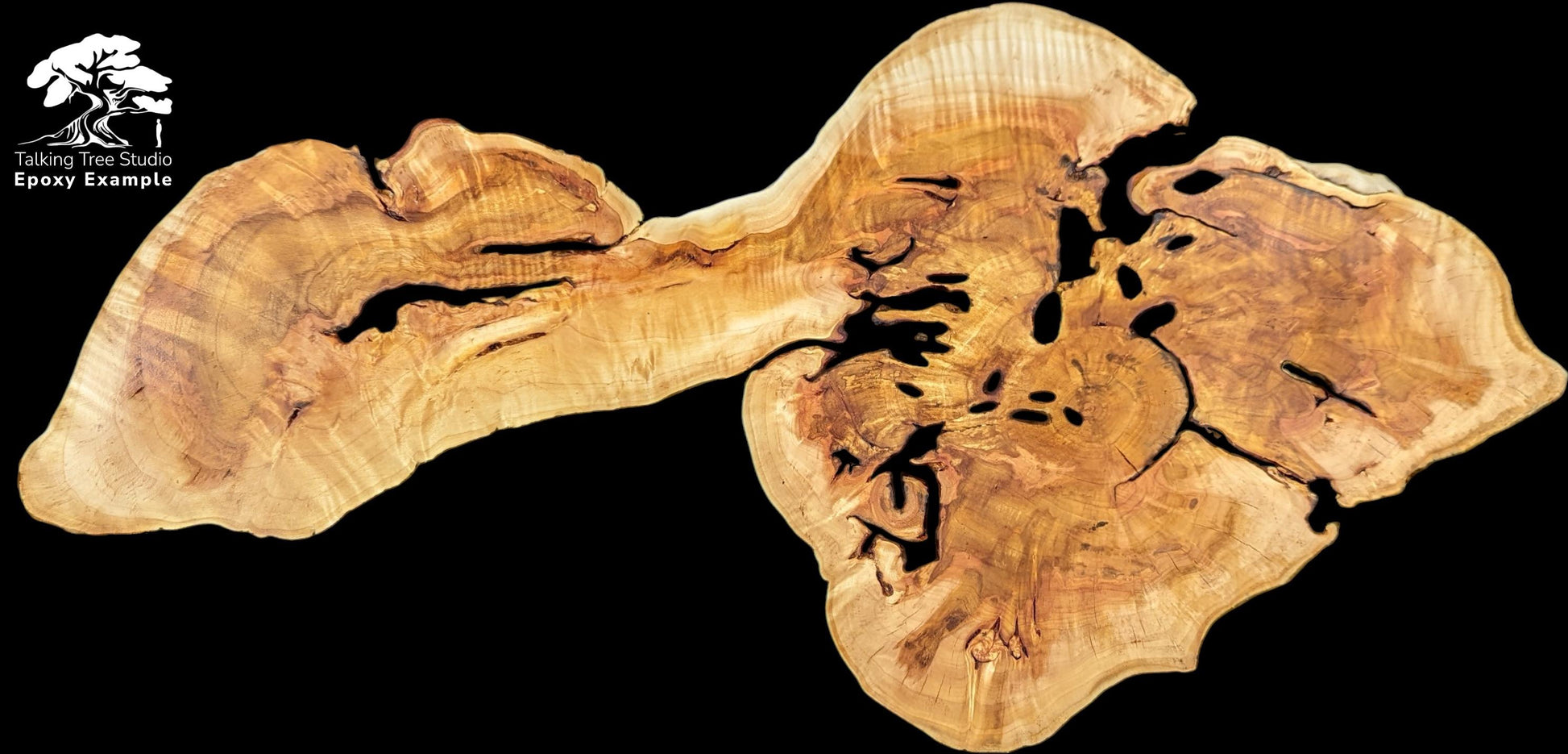 Golden-brown root slice displaying complex grain patterns and multiple deep voids on a solid black background.