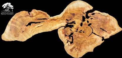 Golden-brown root slice displaying complex grain patterns and multiple deep voids on a solid black background.