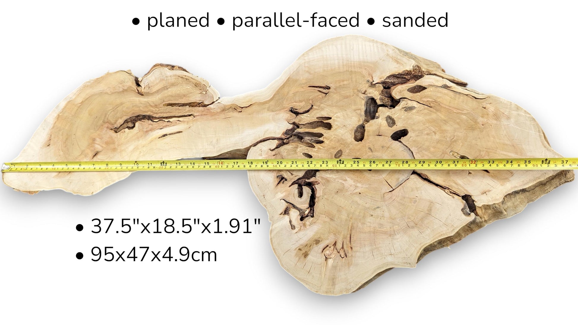 Light beige root slice crossed by yellow measuring tape, featuring text dimensions and dark central voids.