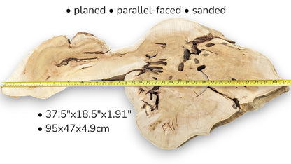 Light beige root slice crossed by yellow measuring tape, featuring text dimensions and dark central voids.