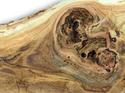 Close-up of a honey locust wood slice showing distinct swirling grain, live edge, knots, and holes.