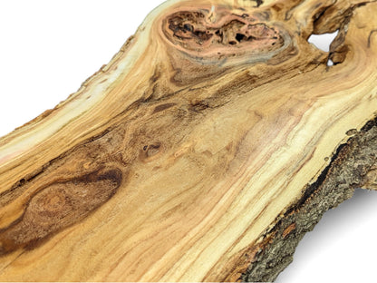 Natural honey locust wood slice, light brown, featuring swirling grain, knots, holes, and dark live edge.