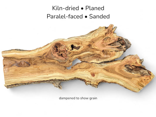 Forked honey locust root slice displaying swirling grain and knots with text detailing processing specifications.