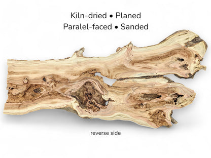 Text overlay on a gnarled honey locust wood slice, reverse side, listing processing steps.