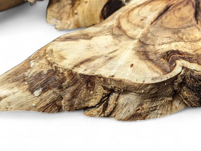 A natural light brown wood root slice, displaying dark swirling grain and rugged, textured edges.
