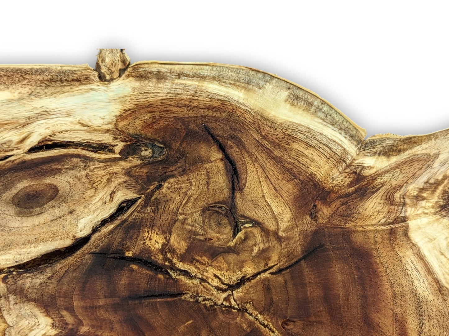 Dark and light brown wood root slice with intricate grain patterns, prominent cracks, and an irregular live edge.