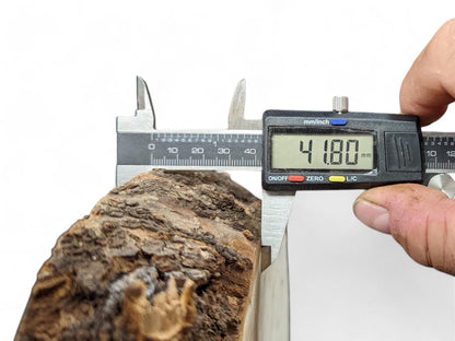 A hand holds a digital caliper measuring a rough linden root wood slice at 41.80 mm thick.