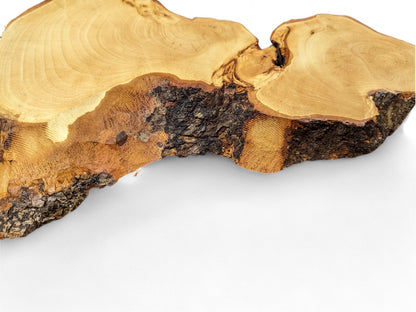 Irregularly shaped linden root wood slice with light brown cut surface, visible grain, and dark, rough live edge bark.