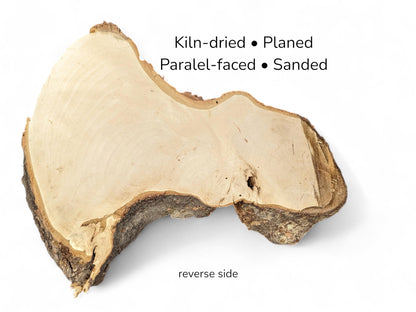 Reverse view of smooth beige wood slab with dark bark borders and text indicating processing details.