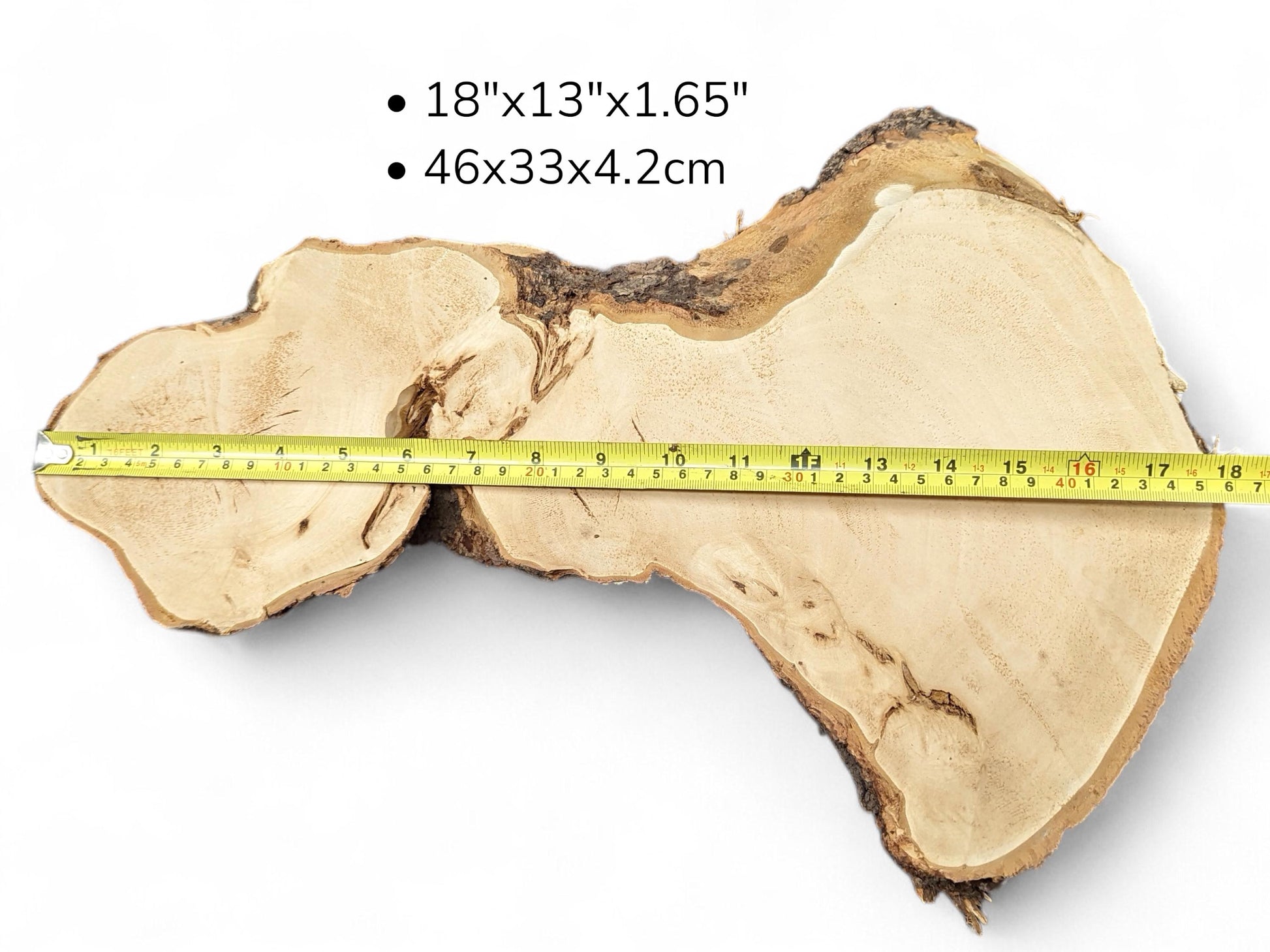 Root wood slice, irregular, light brown, with rough dark bark, a yellow tape, and listed dimensions.