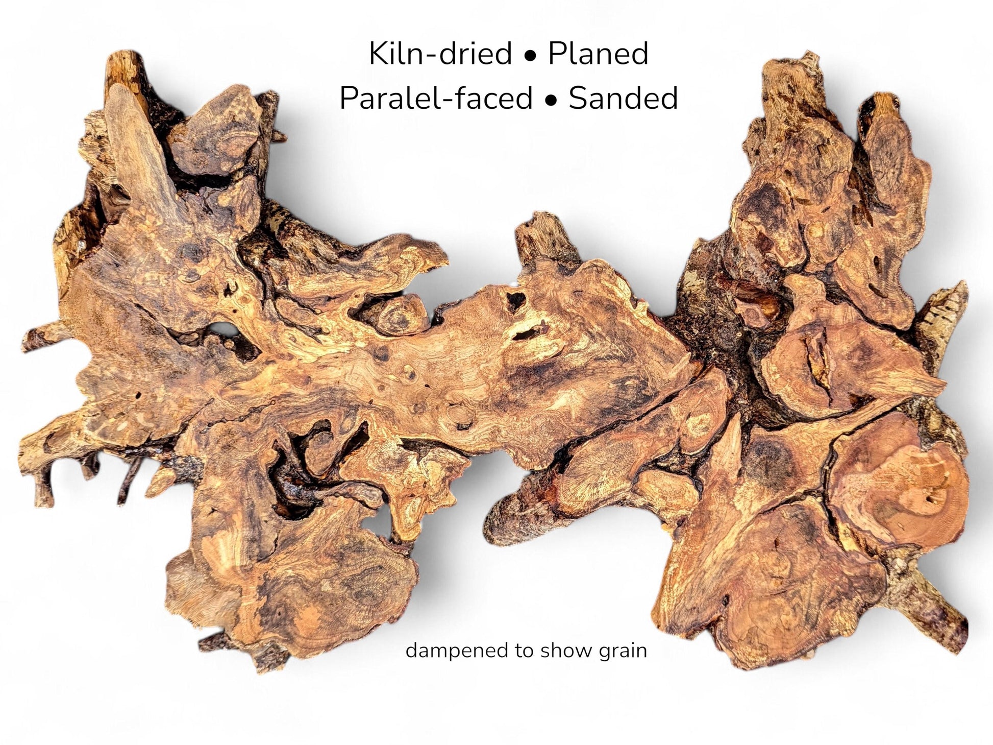 Irregular golden-brown hazel root slice showing complex swirling grain, knots, and text details on white.