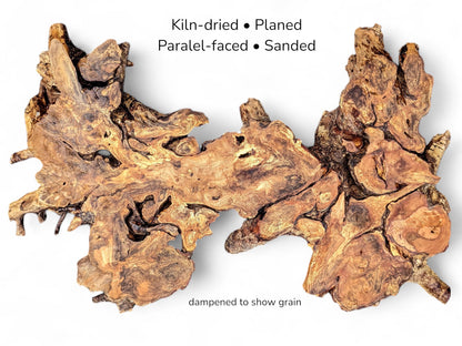 Irregular golden-brown hazel root slice showing complex swirling grain, knots, and text details on white.