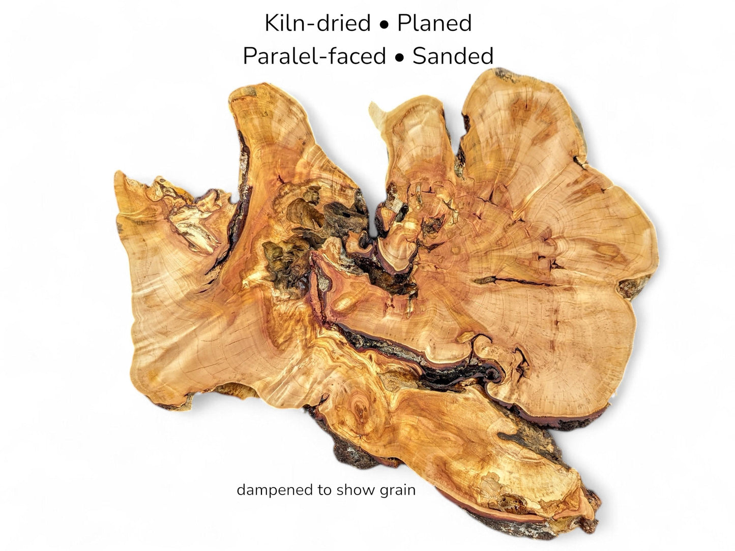 A dampened willow root slice with text overlay describing its kiln-dried and sanded preparation.