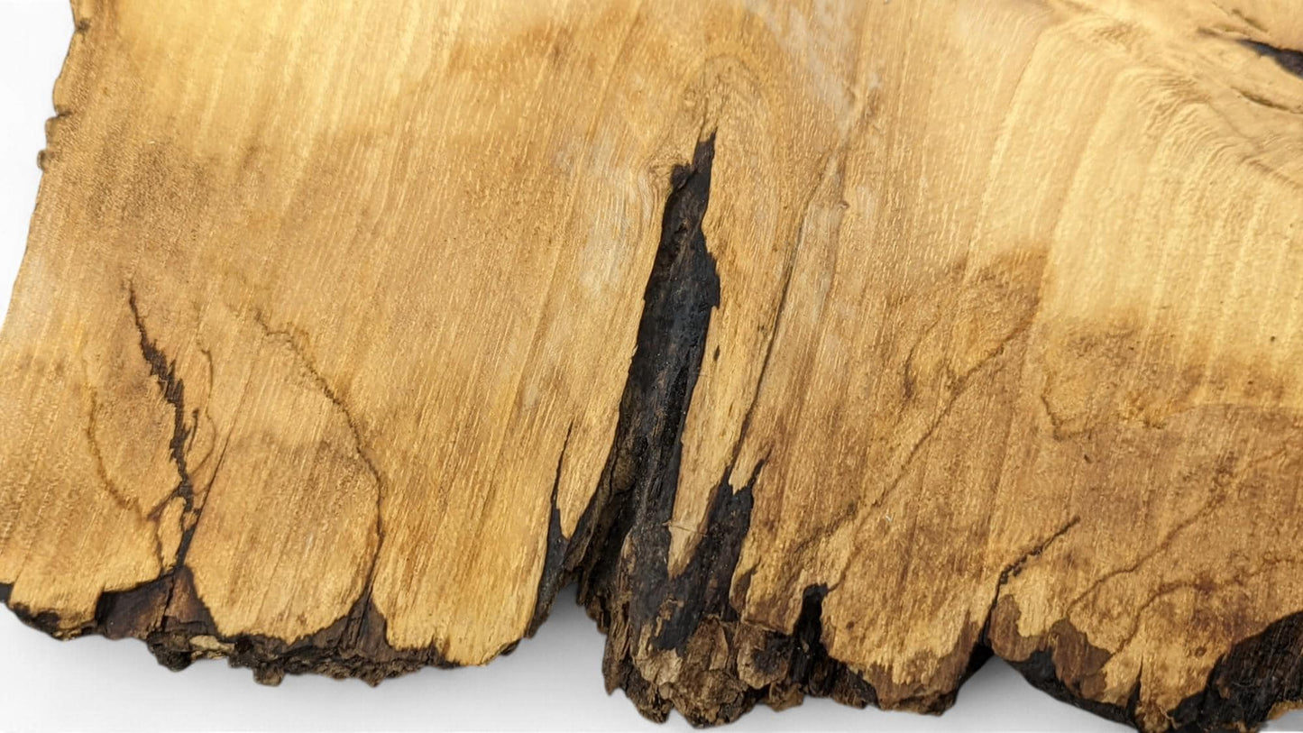 Golden-brown wood slice with irregular shape, distinct grain, rough natural dark edges, and a prominent dark crack.