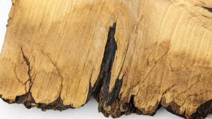 Golden-brown wood slice with irregular shape, distinct grain, rough natural dark edges, and a prominent dark crack.
