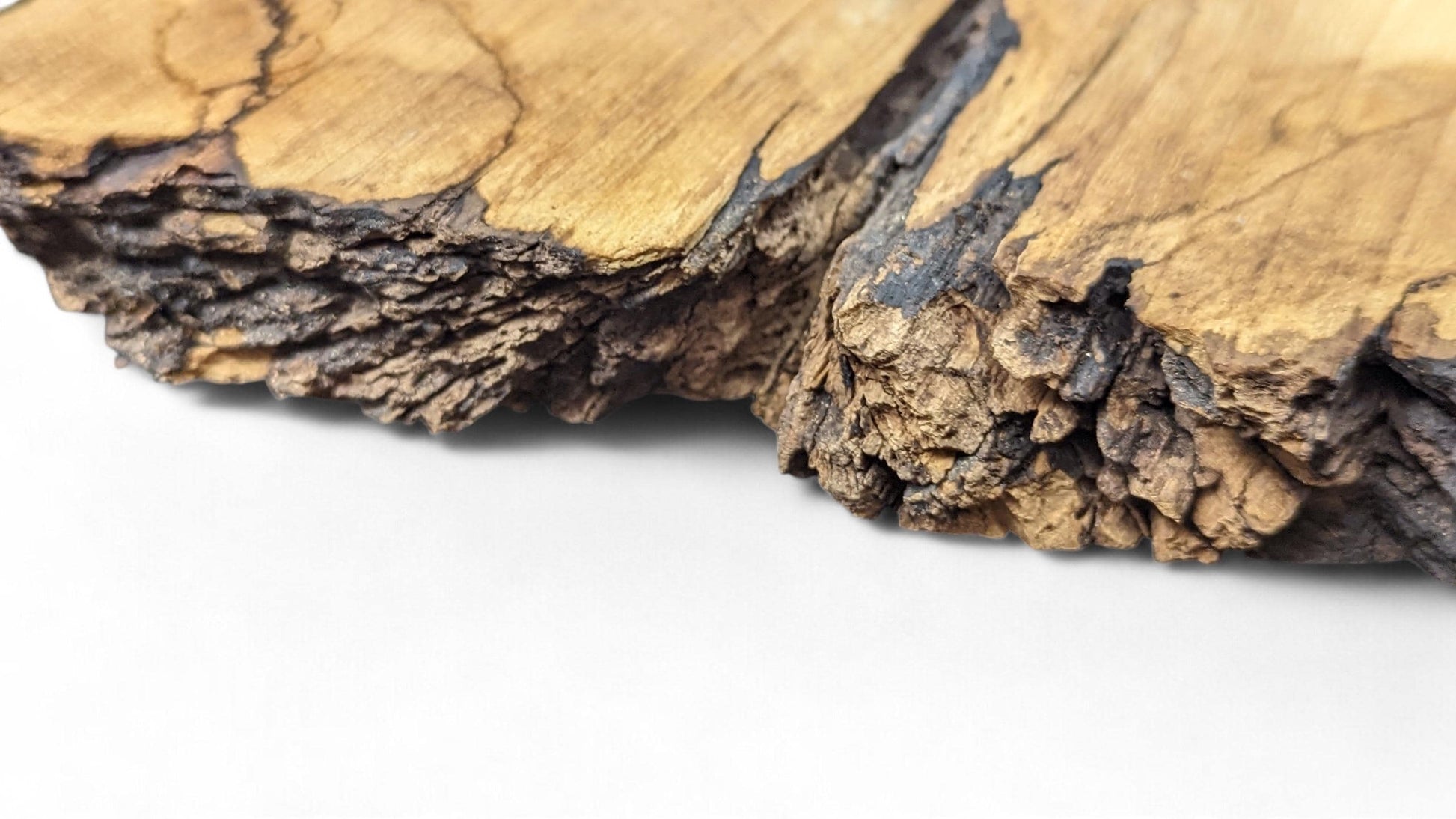 Detailed view of a light golden brown wood slice showing dark grain and a very rough, craggy live edge.