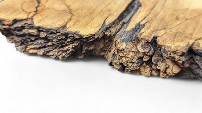 Detailed view of a light golden brown wood slice showing dark grain and a very rough, craggy live edge.