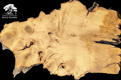 Irregular light brown Black Locust wood slice, natural edges, visible grain, knots, and 'Epoxy Example' text.
