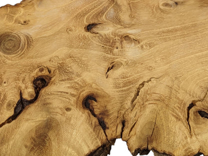 Wood slice close-up revealing light brown surface, intricate grain, multiple dark knots, and natural cracks.