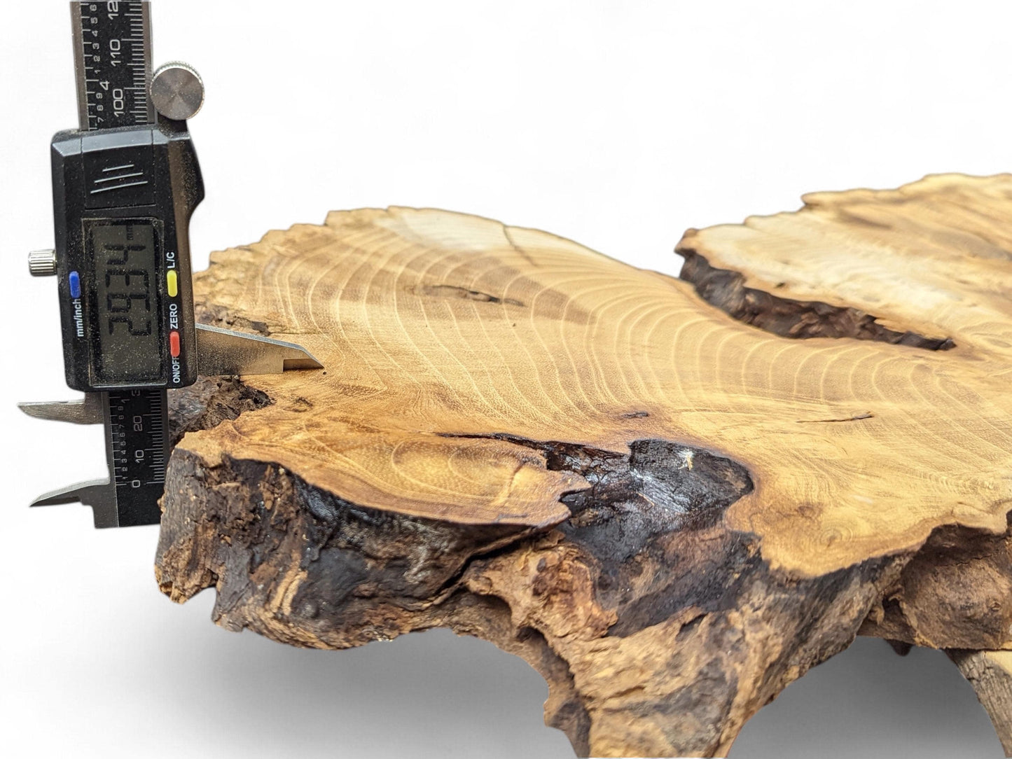 Rough-edged, light brown wood slice, measured by a digital caliper displaying 29.34 mm thickness.
