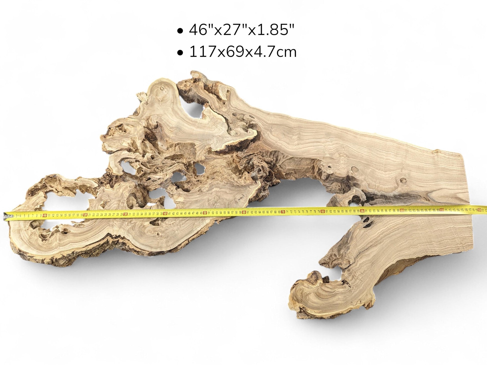 Image shows a gnarled wood root slice with natural holes, a measuring tape, and size specifications.